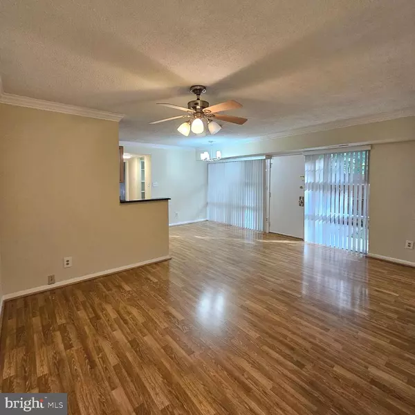 Annandale, VA 22003,7723 DONNYBROOK CT #6