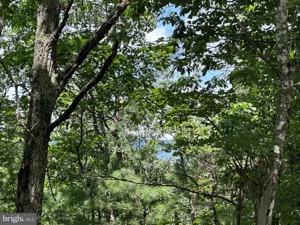 Basye, VA 22810,LOT 24 MT SNOW CT