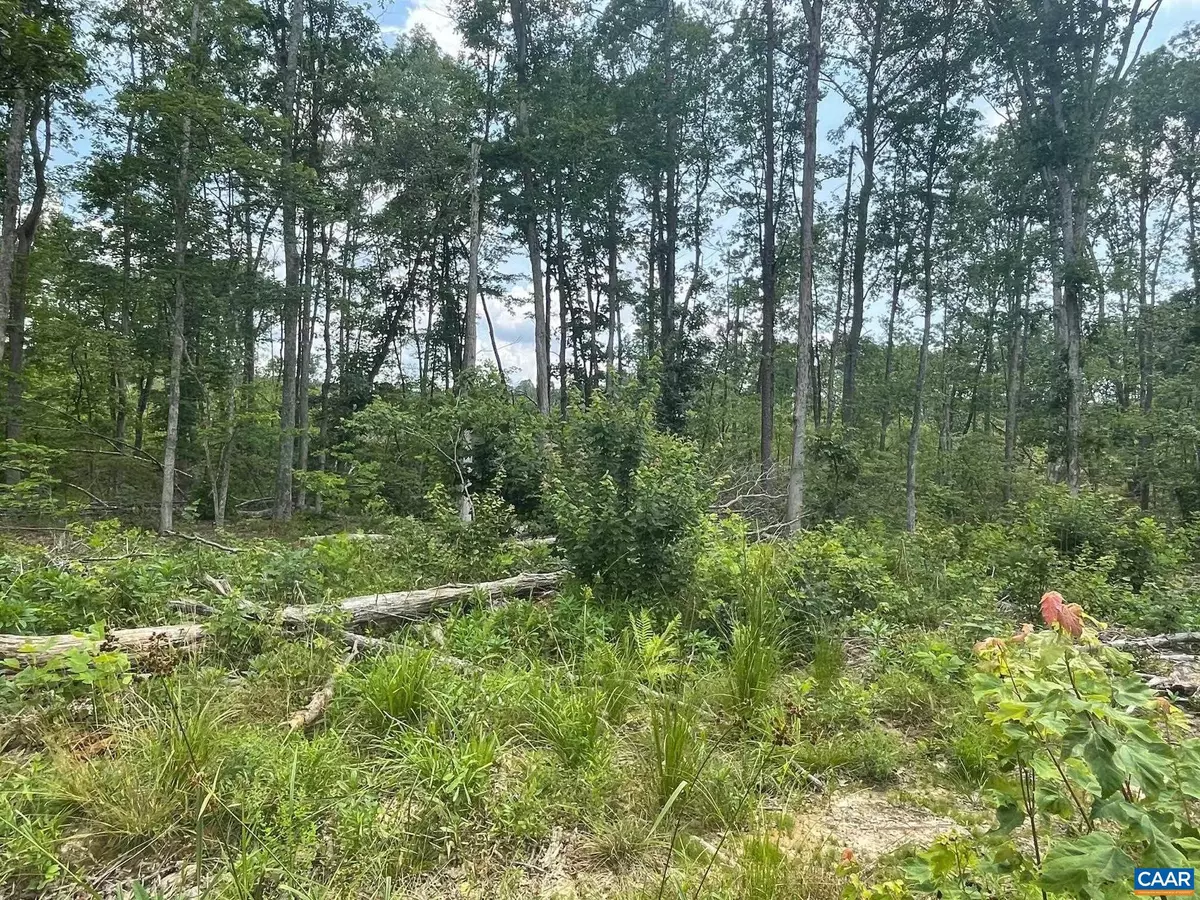 Gordonsville, VA 22942,PASSANTE SR LN #10 68