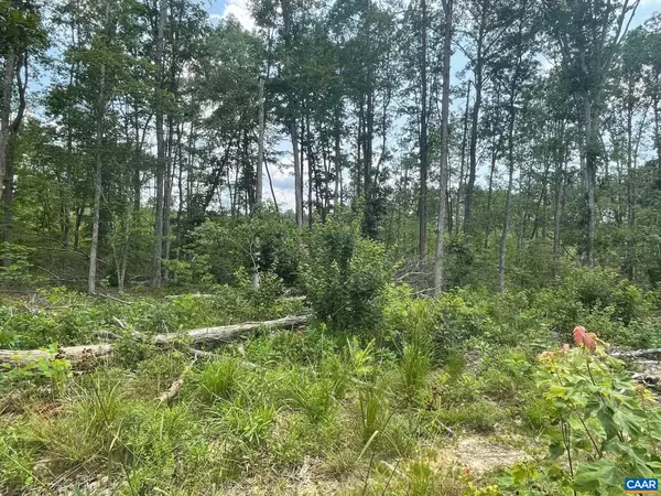 PASSANTE SR LN #10 68, Gordonsville, VA 22942