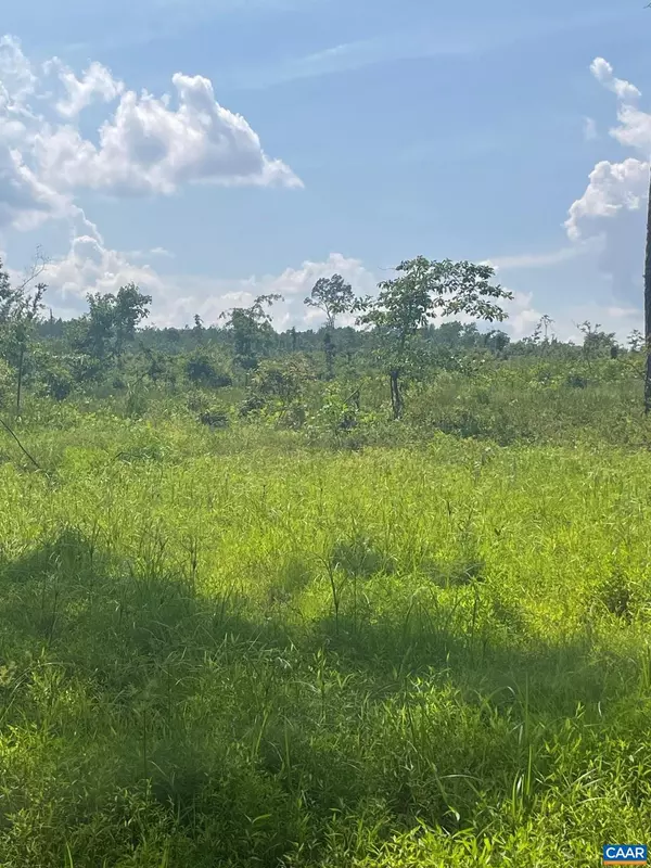 Gordonsville, VA 22942,PASSANTE SR LN #10 68