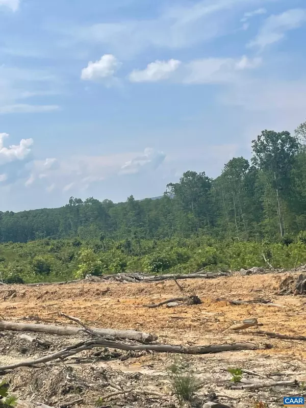 Gordonsville, VA 22942,PASSANTE SR LN #10 68