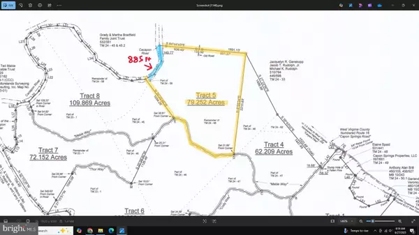 Yellow Spring, WV 26865,79 ACRES ON CACAPON RIVER
