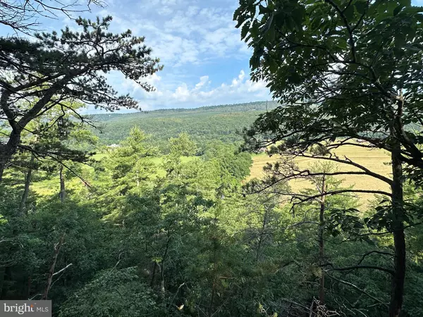 Yellow Spring, WV 26865,79 ACRES ON CACAPON RIVER