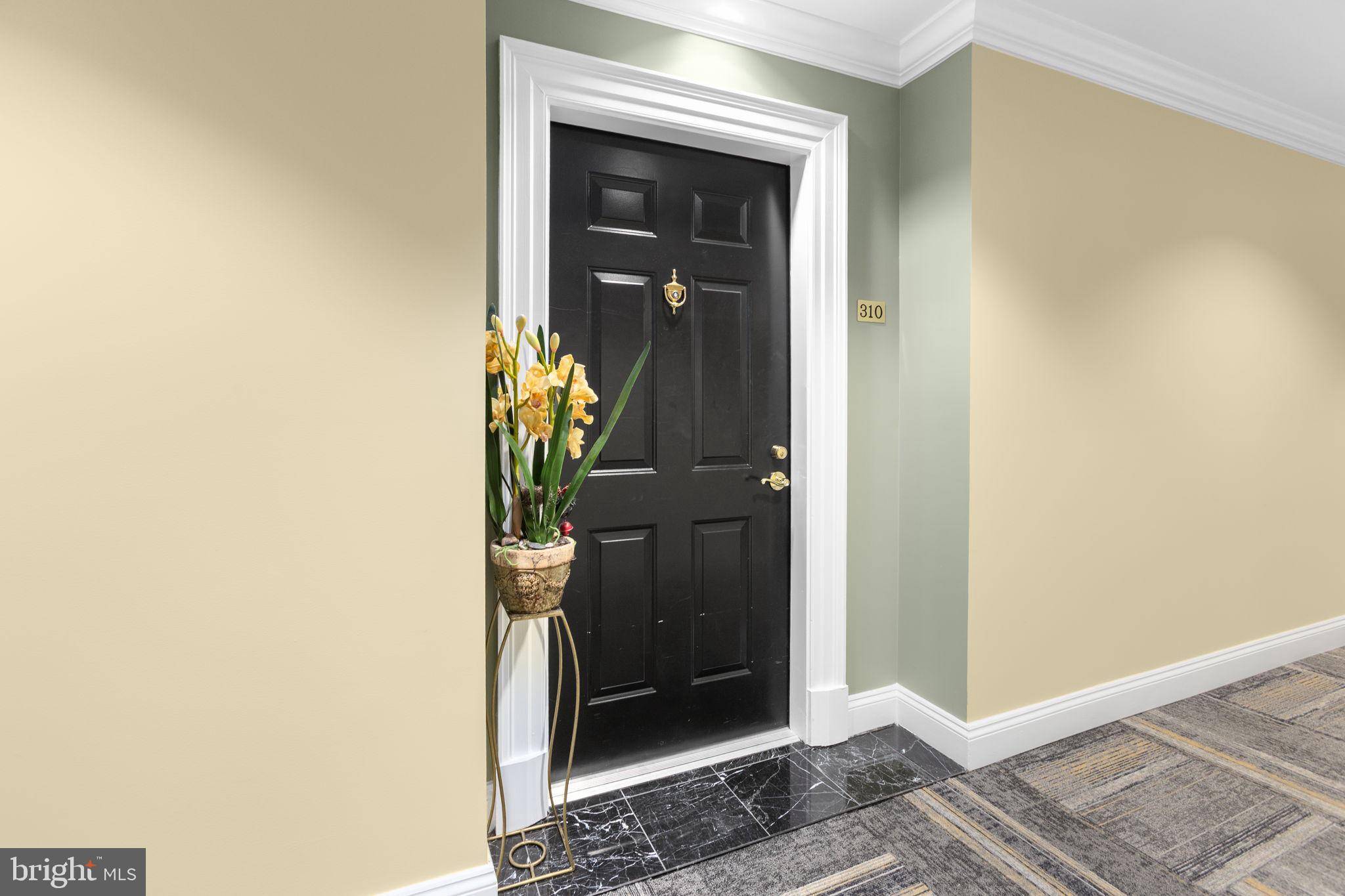 Woodbridge, VA 22191,485 HARBOR SIDE ST #310