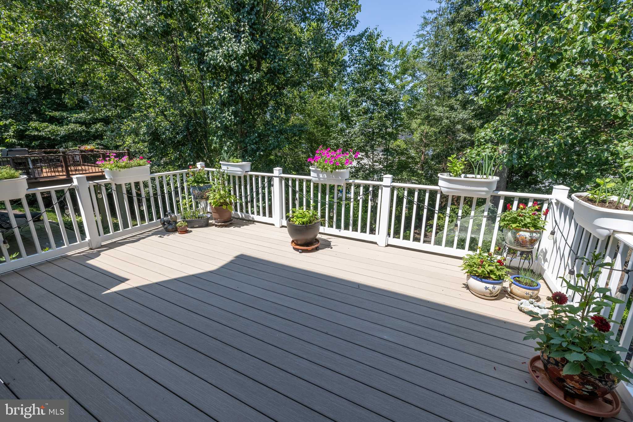 Elkton, MD 21921,20 MCARTHUR LN