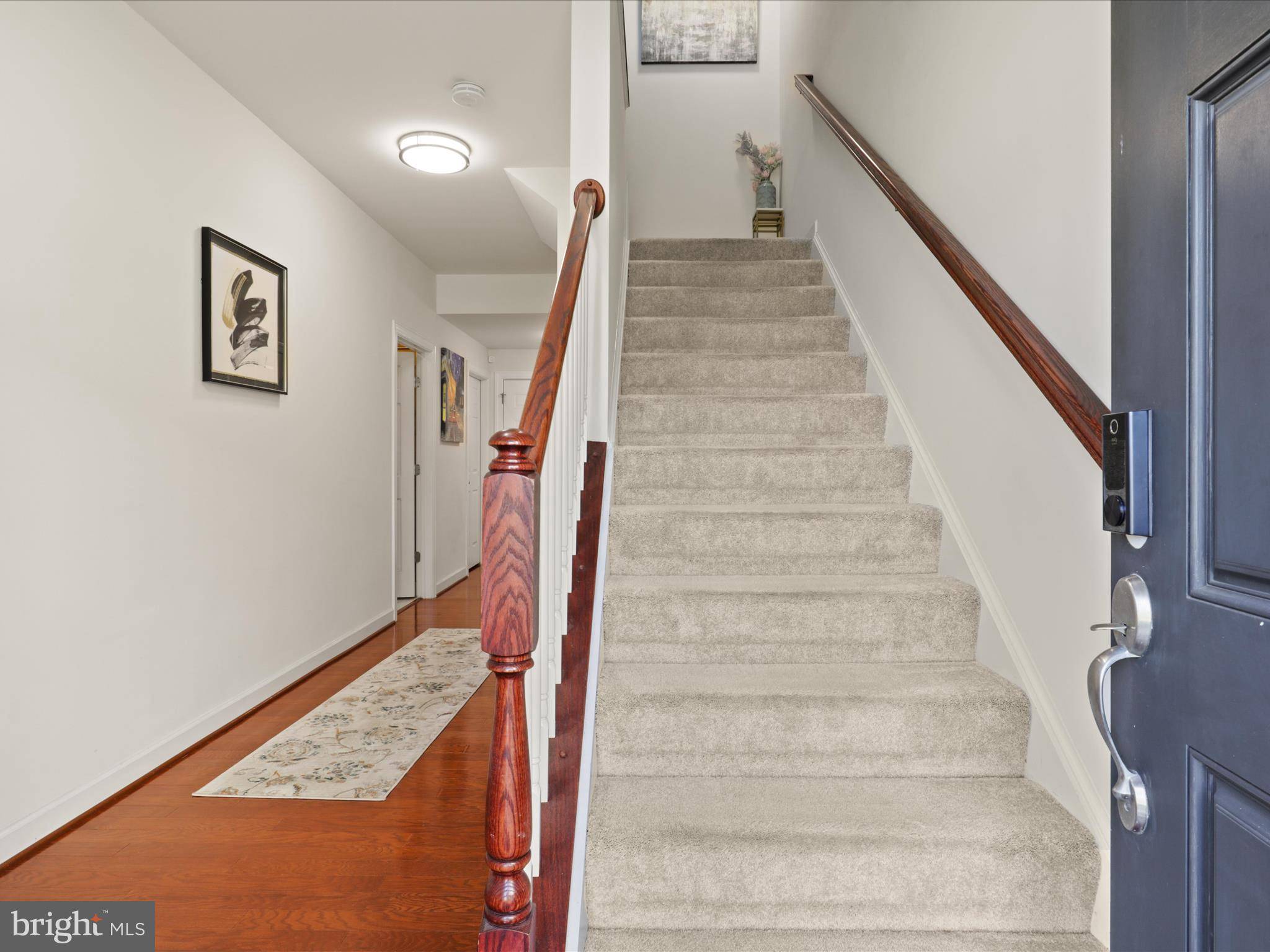 Leesburg, VA 20176,1652 LISMORE TER NE