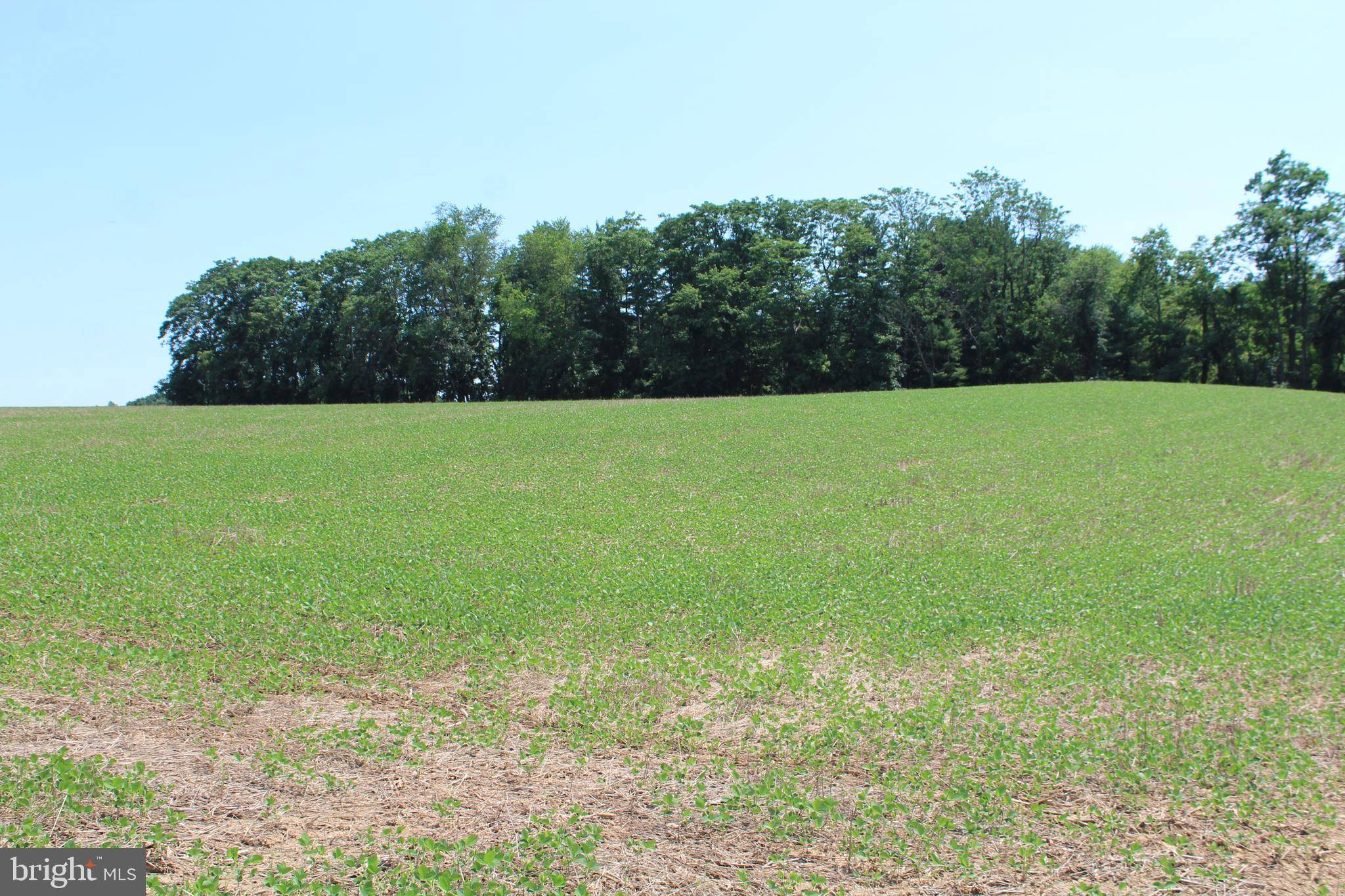 Westminster, MD 21157,PARCEL 62 PART 1 RIDGE RD