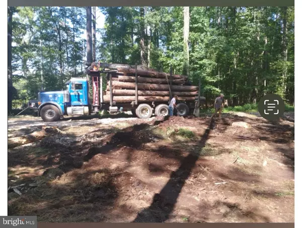 WICOMICO BEACH RD, Newburg, MD 20664