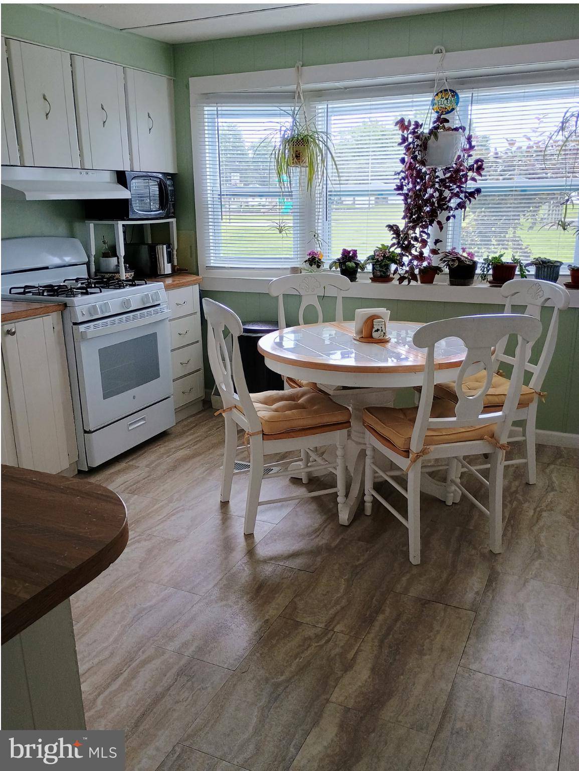 Lewes, DE 19958,17614 CAROLINE DR #17272
