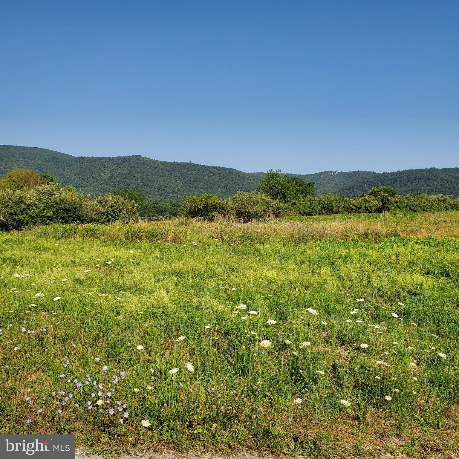 Fort Loudon, PA 17224,LOT 4 SUNRISE LN