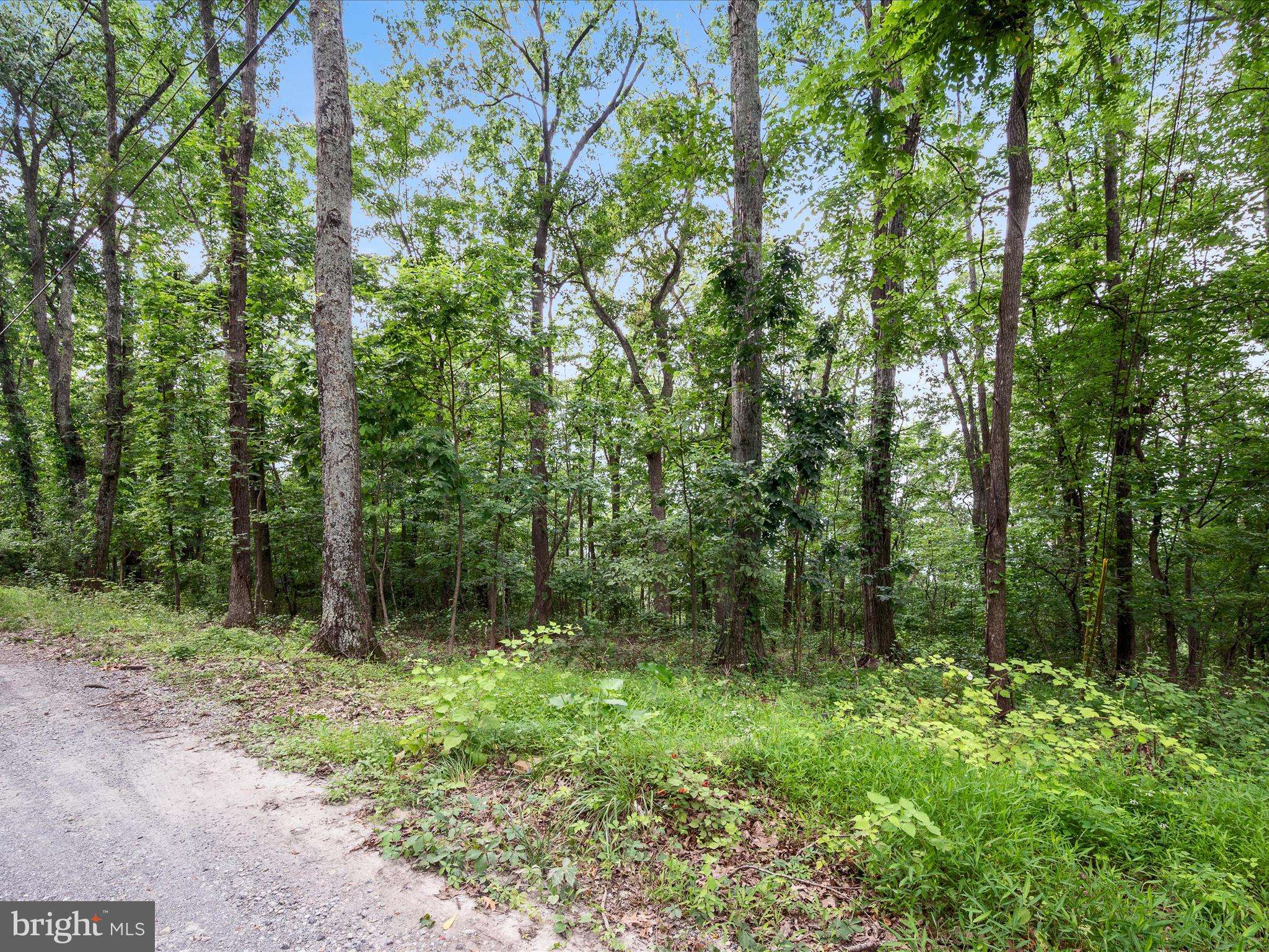 Harpers Ferry, WV 25425,0 MOUNTAIN TOP TRL