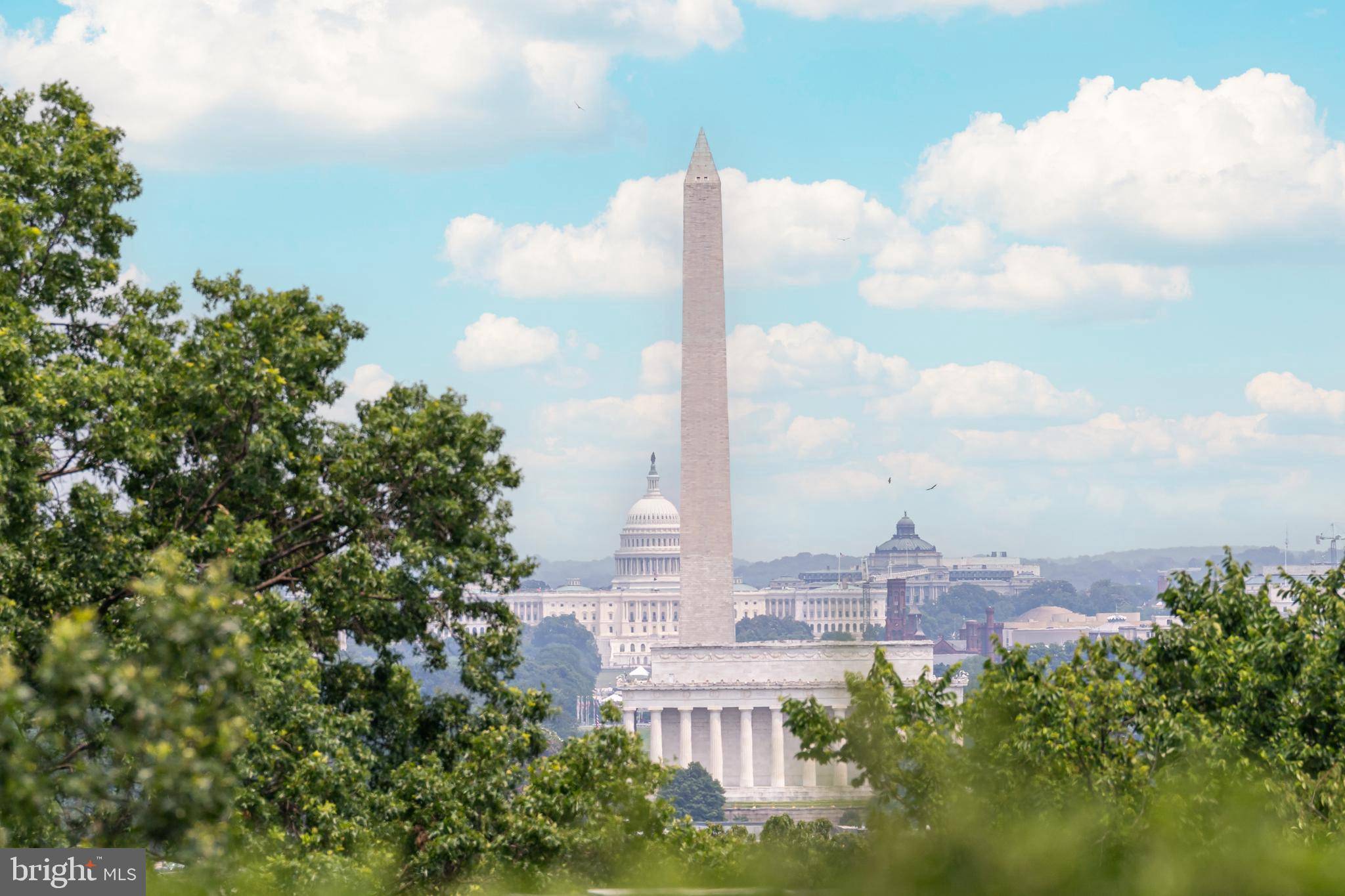 Arlington, VA 22209,1200 N NASH ST #232