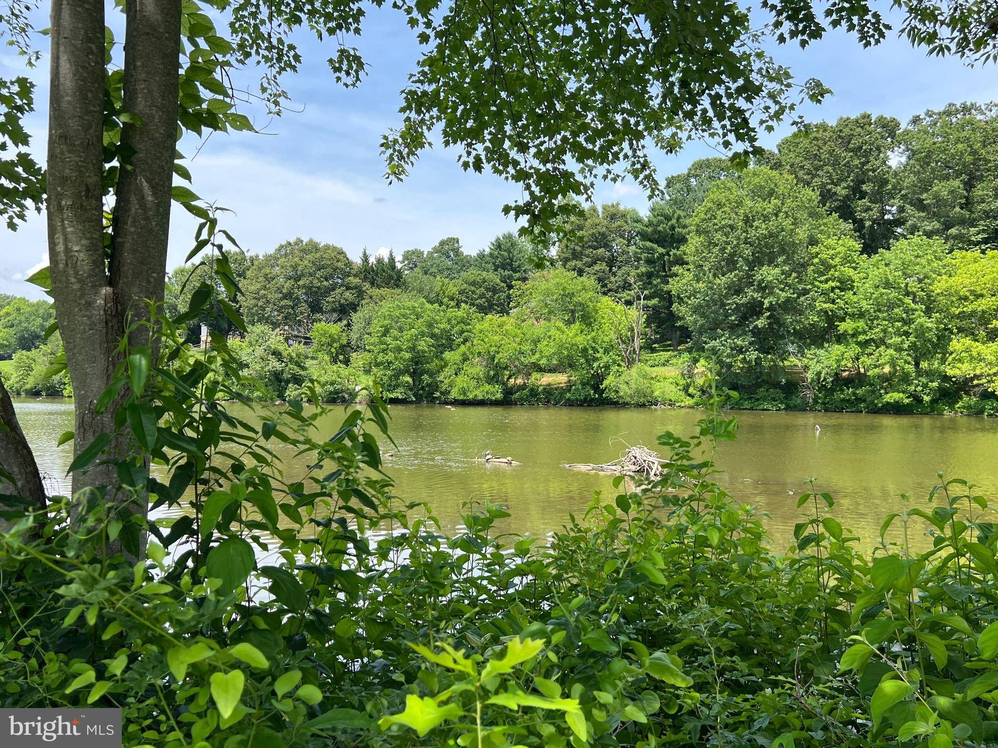 Gaithersburg, MD 20886,9800 ISLANDSIDE DR
