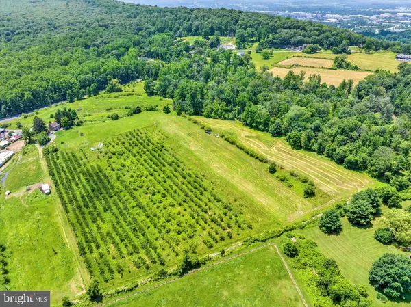 Reading, PA 19606,0 BINGAMAN RD