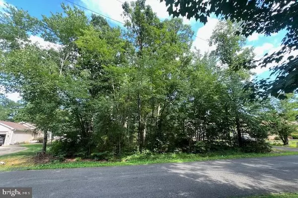 507 LIBERTY BLVD, Locust Grove, VA 22508