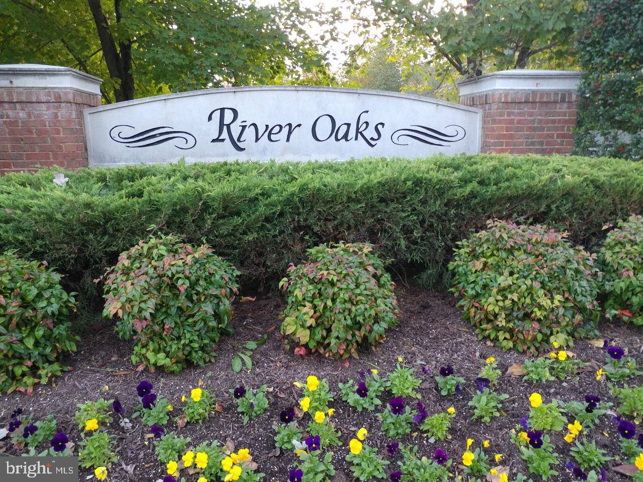 Edgewater, MD 21037,204 BRAXTON WAY #204