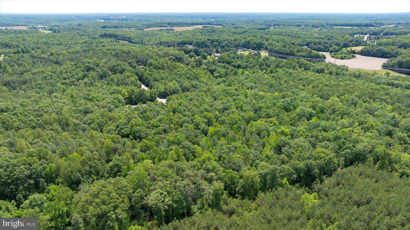 Ruther Glen, VA 22546,LOT 2E GOLANSVILLE RD