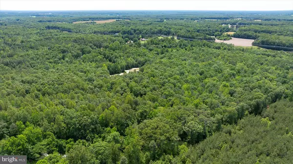 Ruther Glen, VA 22546,LOT 2E GOLANSVILLE RD
