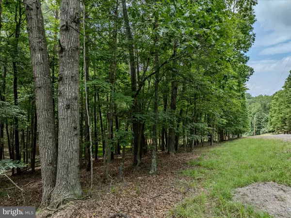 Berkeley Springs, WV 25411,148 PONDS CT #LOT 6