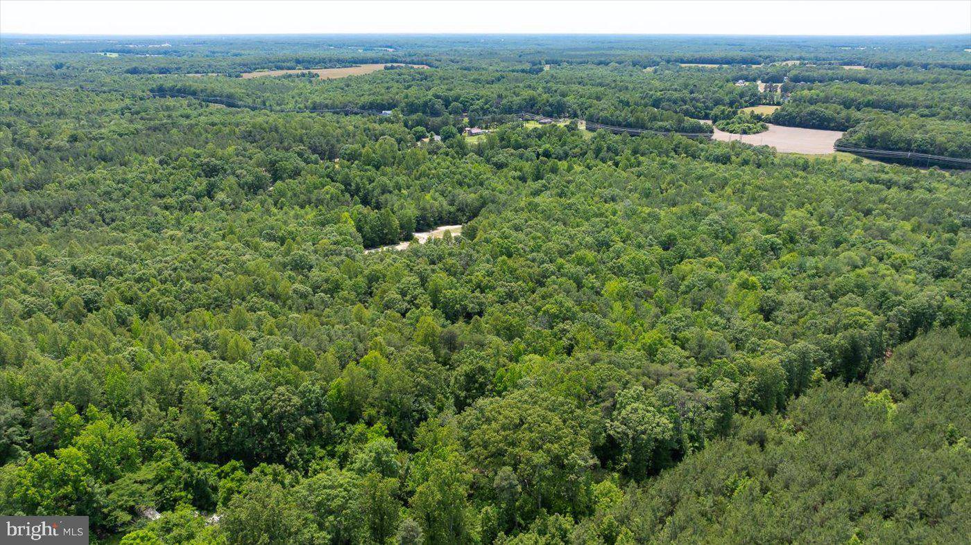 Ruther Glen, VA 22546,LOT 2D GOLANSVILLE RD
