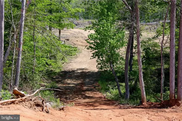 Mineral, VA 23117,0 OLD APPLE GROVE RD