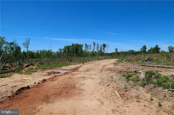 Mineral, VA 23117,0 OLD APPLE GROVE RD