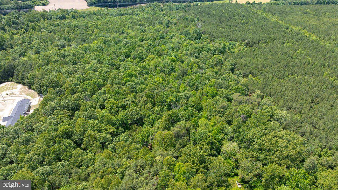 Ruther Glen, VA 22546,LOT 2 GOLANSVILLE RD