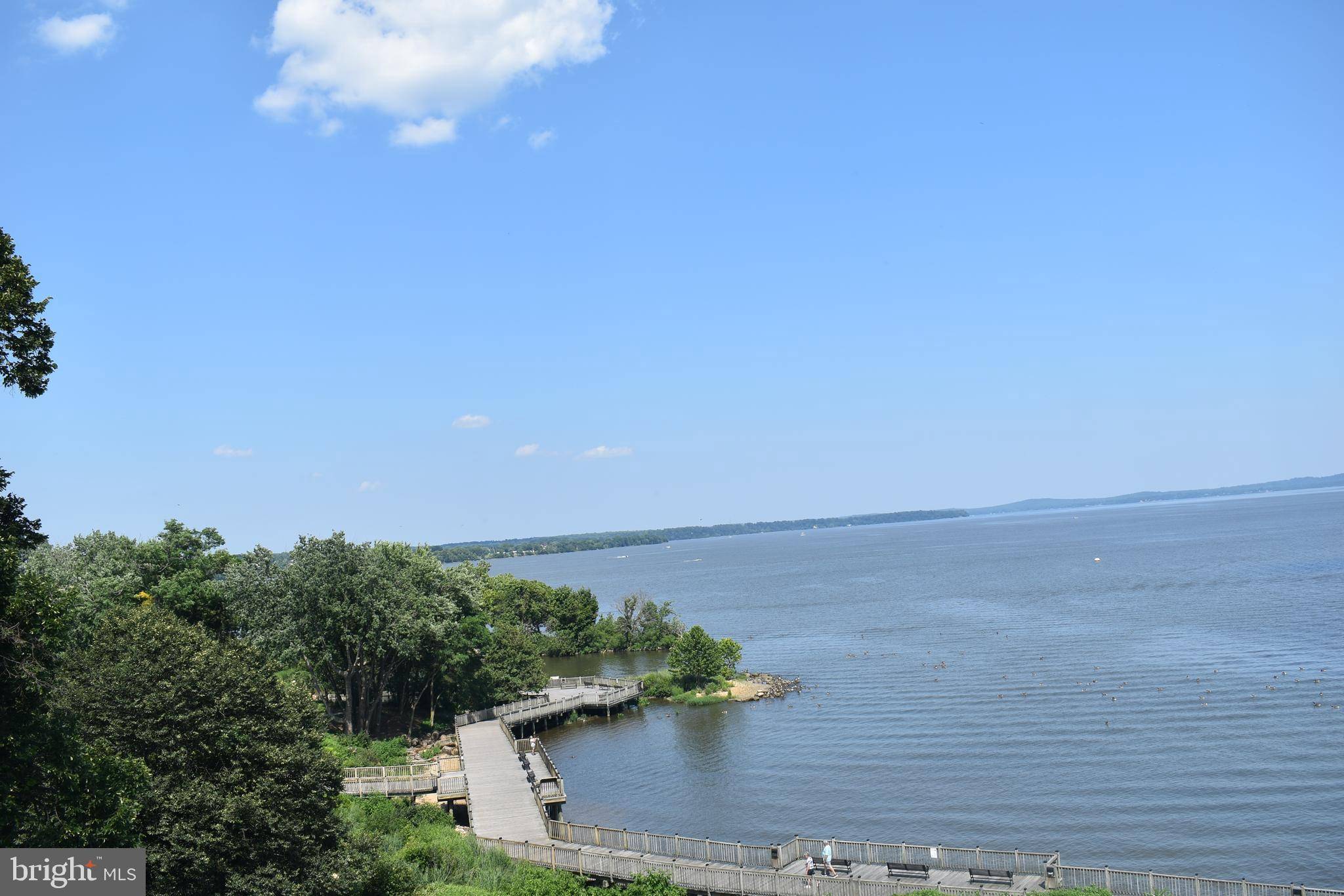 Havre De Grace, MD 21078,300 COMMERCE ST #406