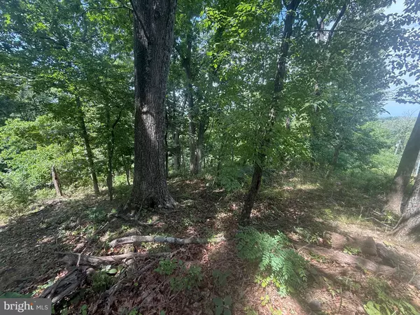 Linden, VA 22642,LOT 25 DOOM PEAK RD