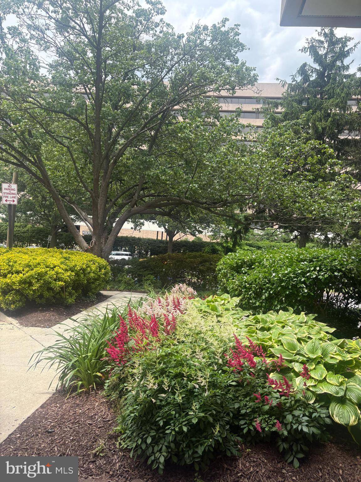 Falls Church, VA 22041,3713 S GEORGE MASON DR #1001W