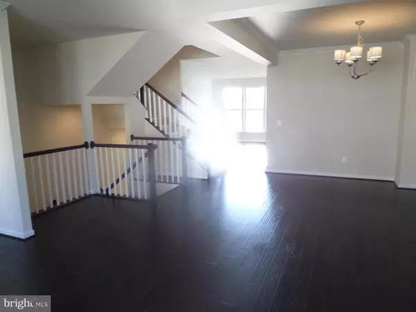 Chantilly, VA 20152,43359 POLENTA TER