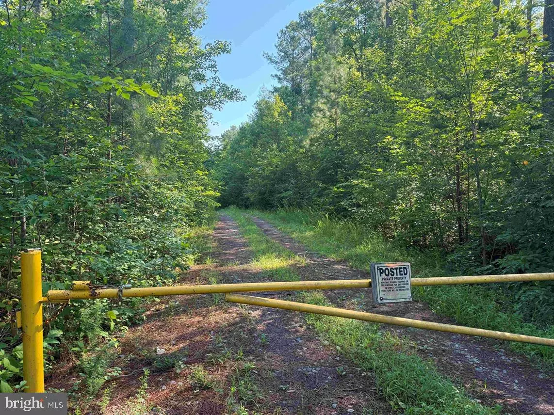 Louisa, VA 23093,BANNISTER TOWN ROAD (TRACT DTOF LOUISA)