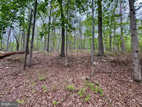 Great Cacapon, WV 25422,637 SELDOM SEEN RD