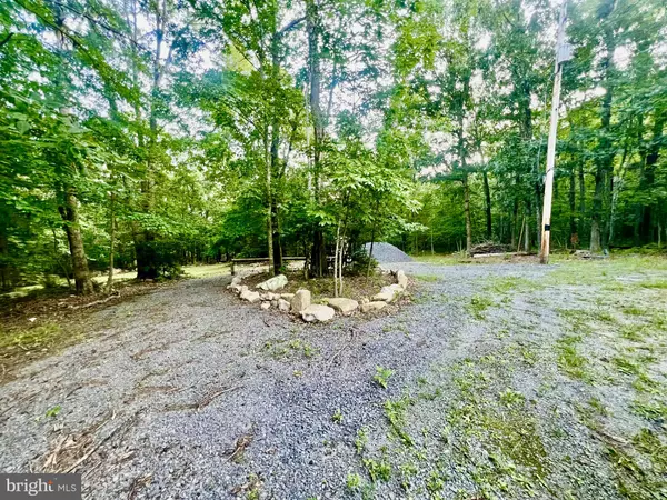 SUZANNE LANE, Luray, VA 22835