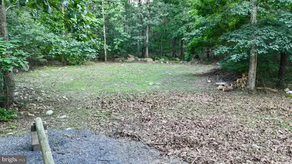 Luray, VA 22835,SUZANNE LANE