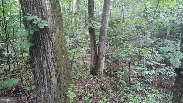 Front Royal, VA 22630,LOT 10 MAGNOLIA DR