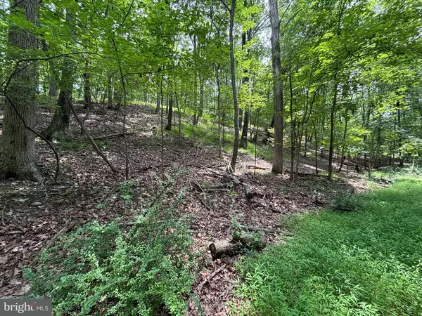 Westminster, MD 21157,BEAR BRANCH RD