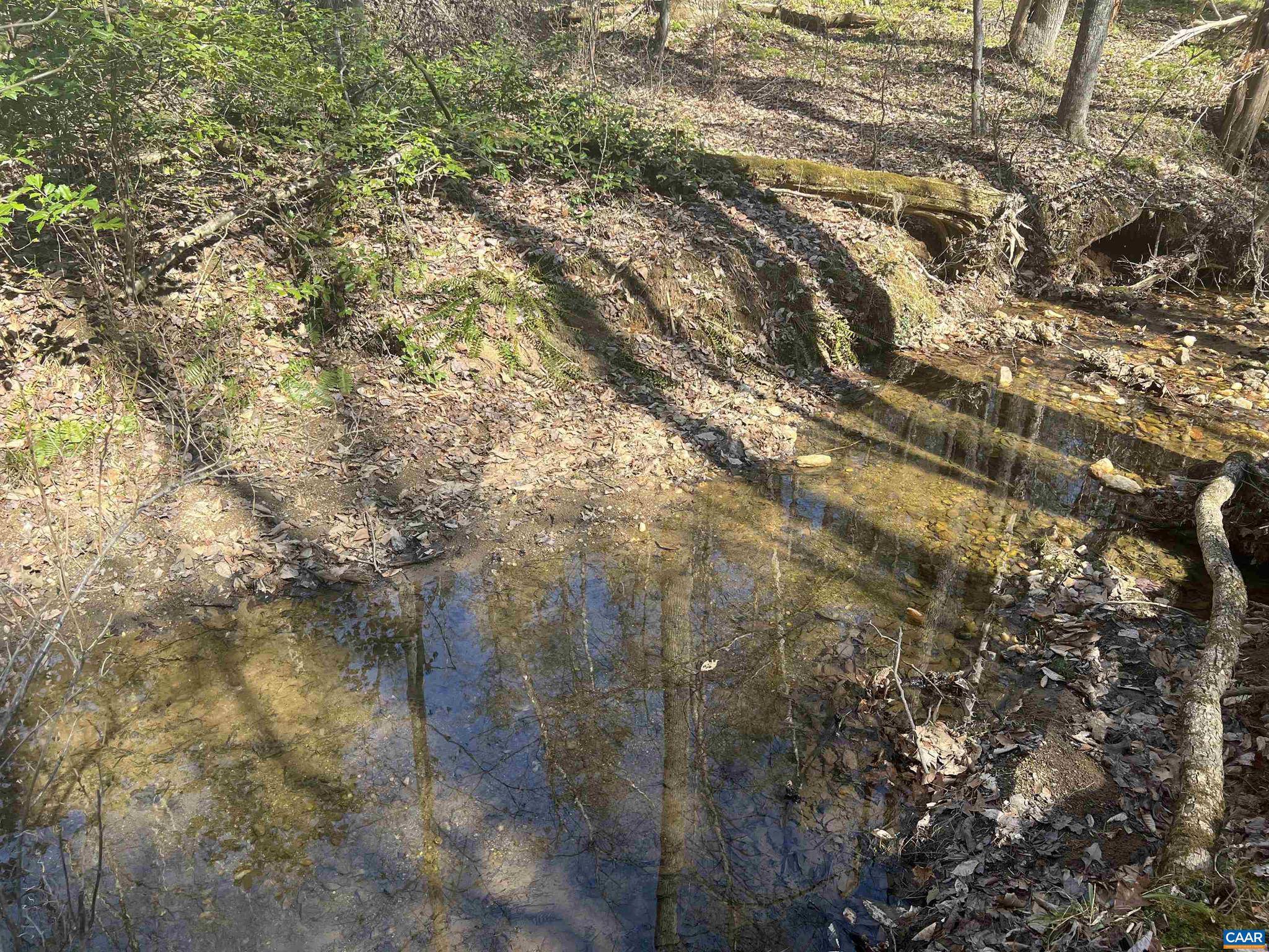 Earlysville, VA 22936,TBD BUDDYS PLACE LN