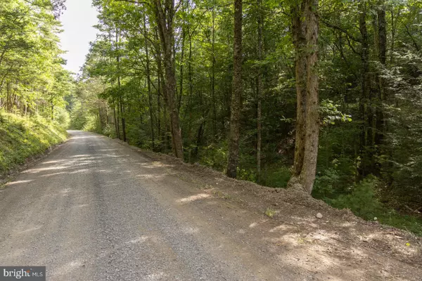 Marlinton, WV 24954,0 DOUTHARDS CREEK RD