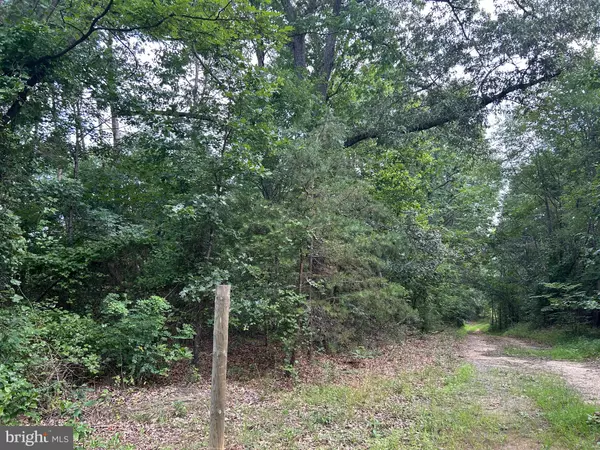 Orange, VA 22960,BICKERS LN