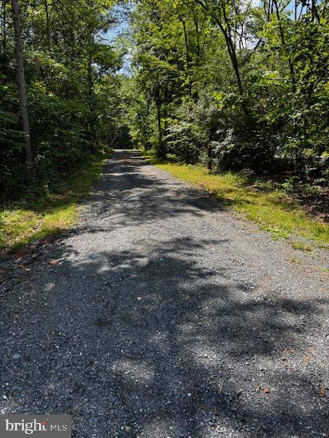 Maurertown, VA 22644,ALONZAVILLE RD.