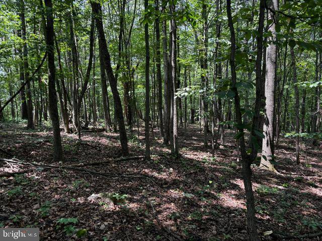 Maurertown, VA 22644,ALONZAVILLE RD.