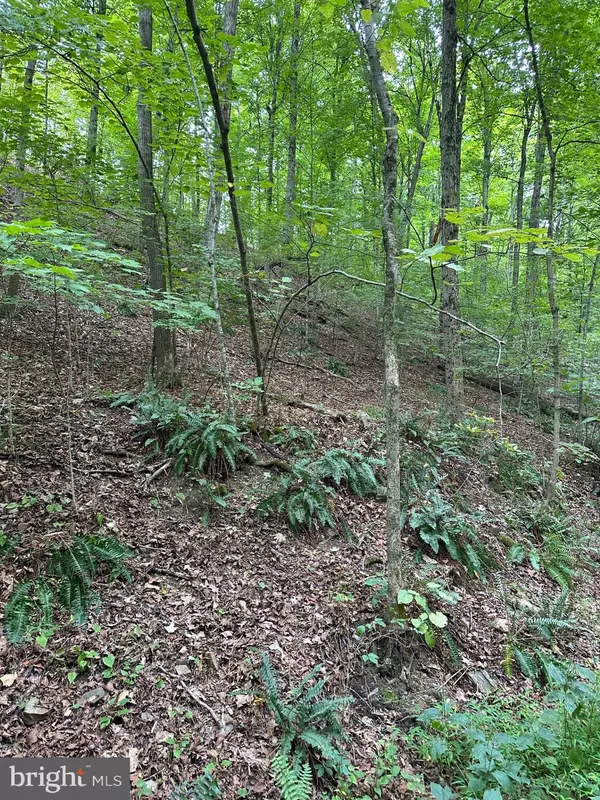 OFF REYNOLDSDALE RD, New Paris, PA 15554