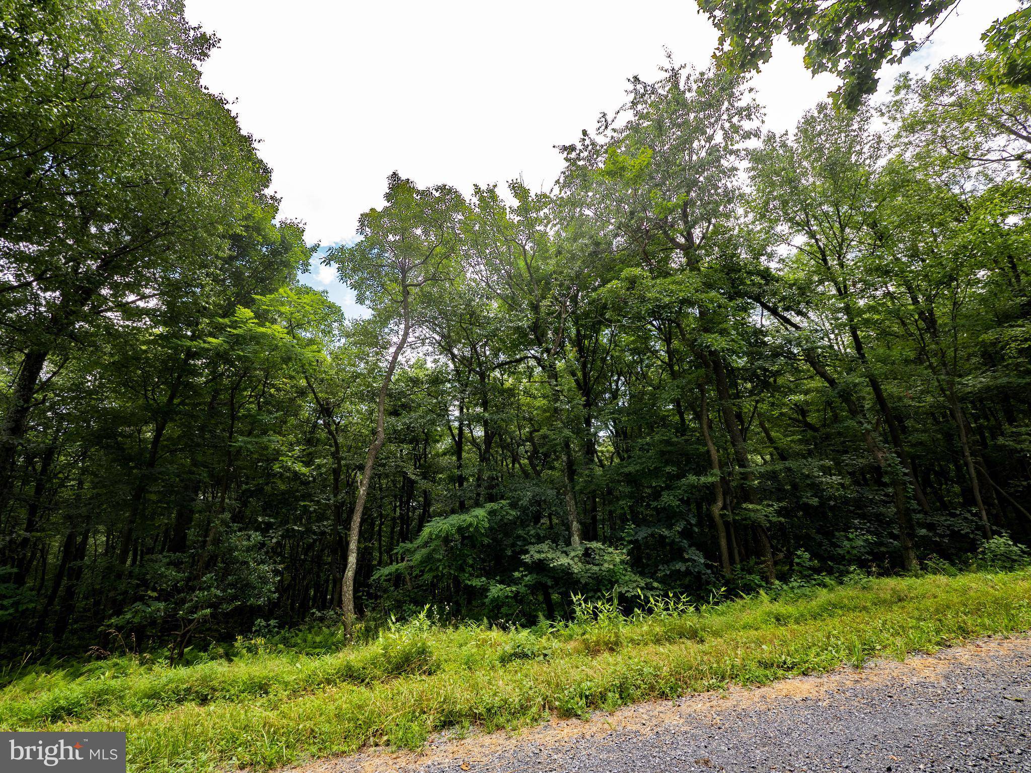 Winchester, VA 22602,LOTS 182, 183, 184 ROCKWOOD TRL