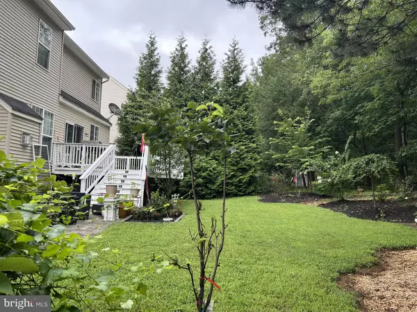 Gainesville, VA 20155,12072 PAPER BIRCH LN