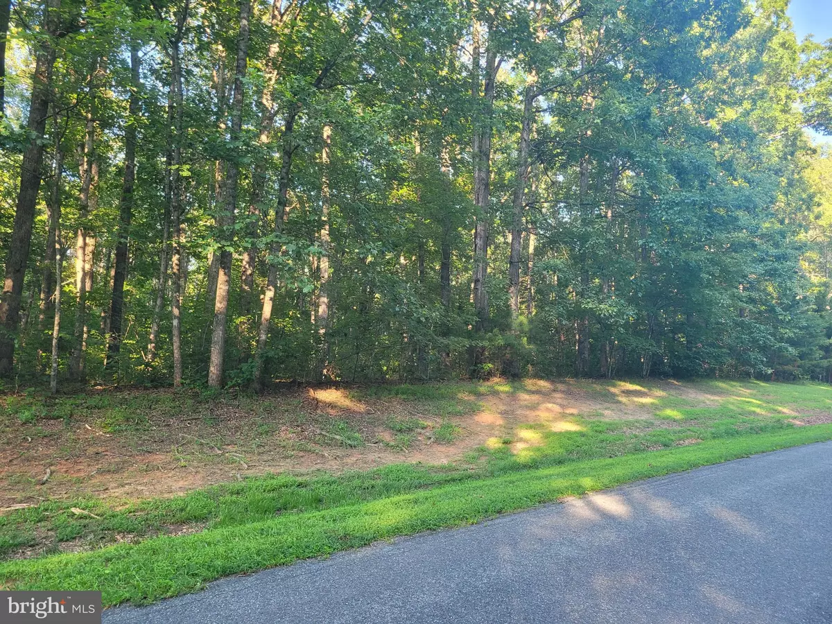 Louisa, VA 23093,HARNESS