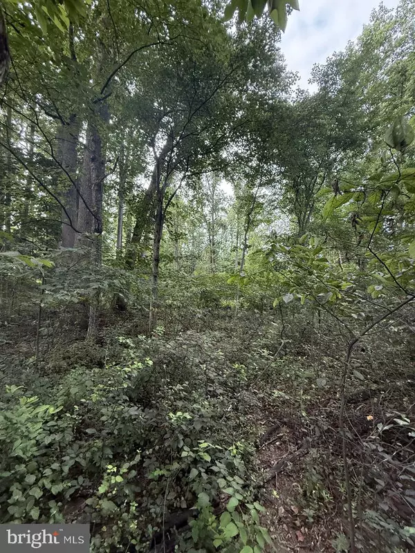 Port Deposit, MD 21904,WAIBEL RD