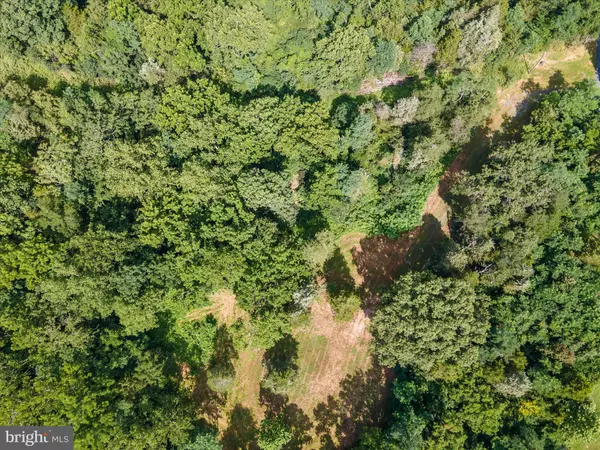 Maurertown, VA 22644,LOT 20 HAMPSTEAD COURT