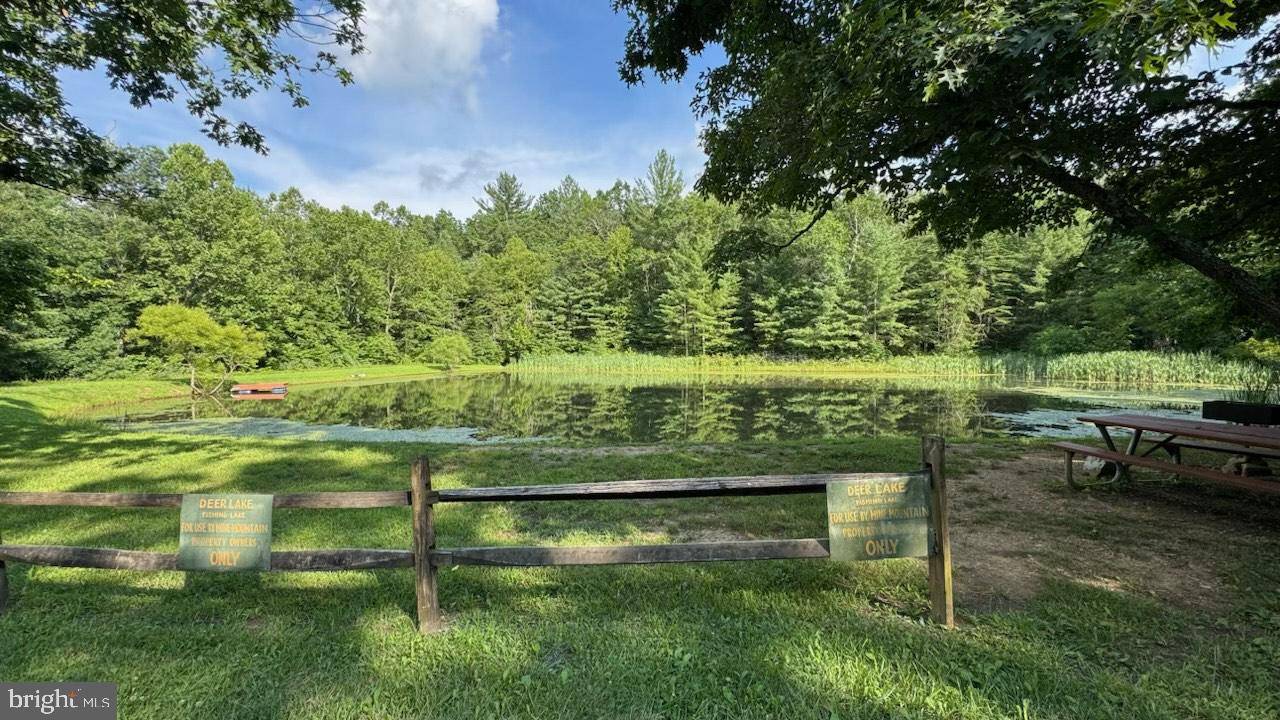Fort Valley, VA 22652,MINE MOUNTAIN LN. LOT 241